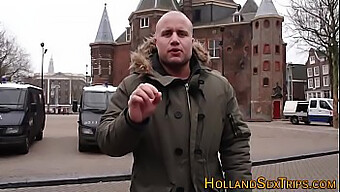 Hollandsk ...